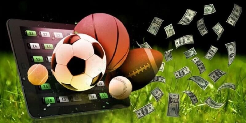 Tìm hiểu về nhà cái cá độ online